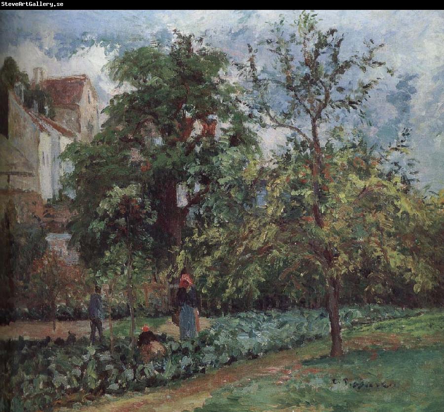 Camille Pissarro orchards